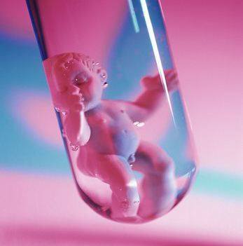 女同伴侣借卵代怀生殖中心